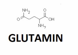 glutamin